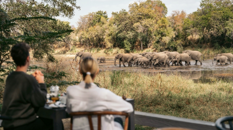 Not All Safaris Are the Same, Even in the Same Reserve