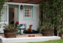 Paws and pillars: The sophisticated guide to luxury pet-friendly travel