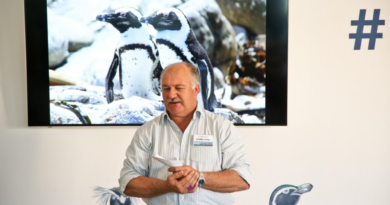 Think Ocean Conservation Is Only for Marine Biologists? Think Again!