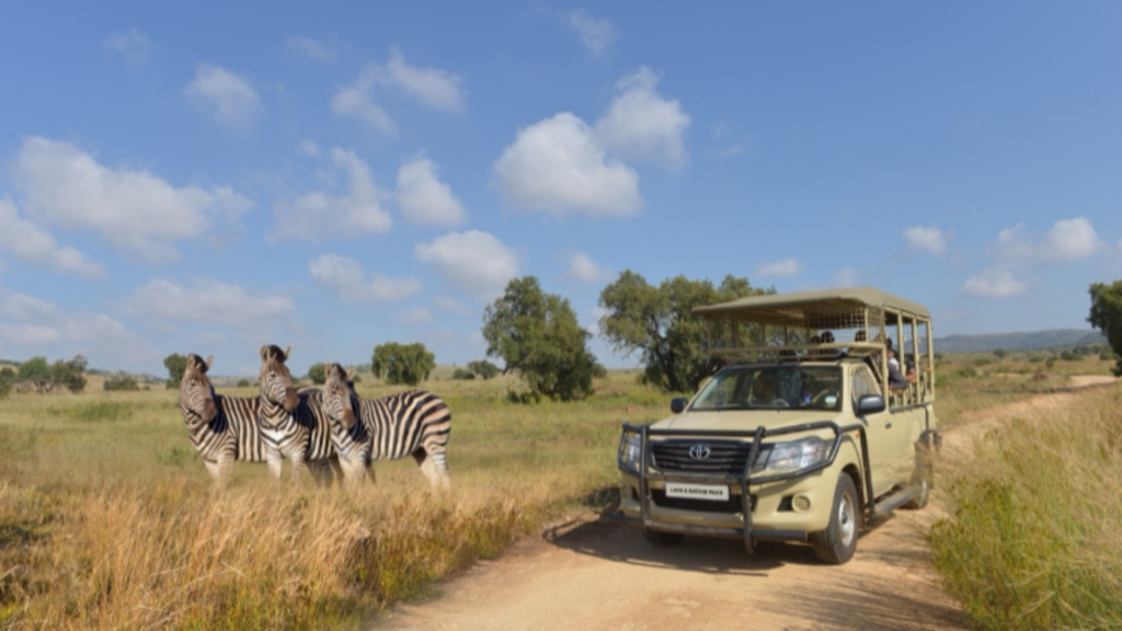 Why the Bothongo Rhino & Lion Nature Reserve Is the Perfect Winter Holiday Adventure for the Whole Family