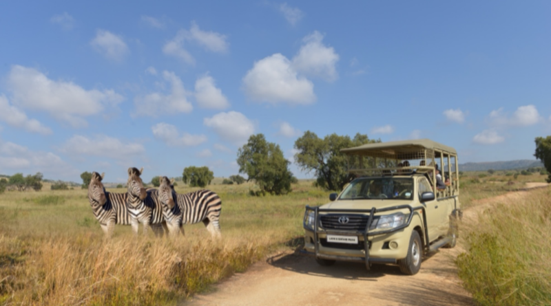 Why the Bothongo Rhino & Lion Nature Reserve Is the Perfect Winter Holiday Adventure for the Whole Family