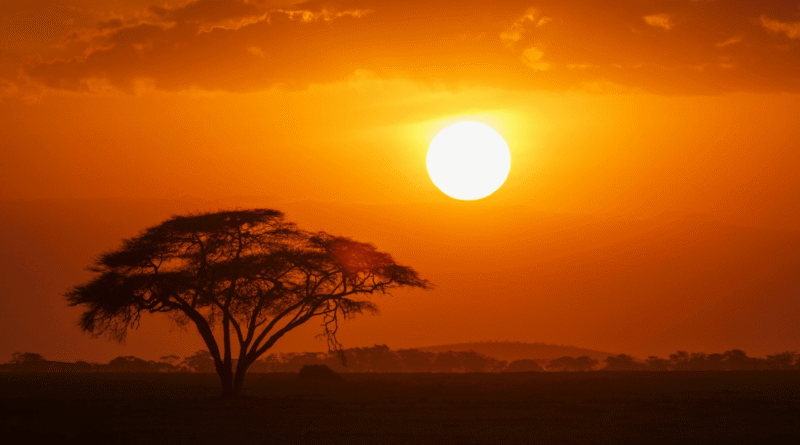 Harmony Tours & Accommodations Expands International DMC Partnership Program for Kenya and East Africa