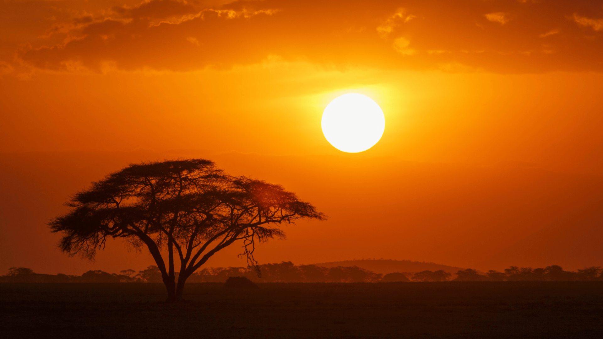 Harmony Tours & Accommodations Expands International DMC Partnership Program for Kenya and East Africa