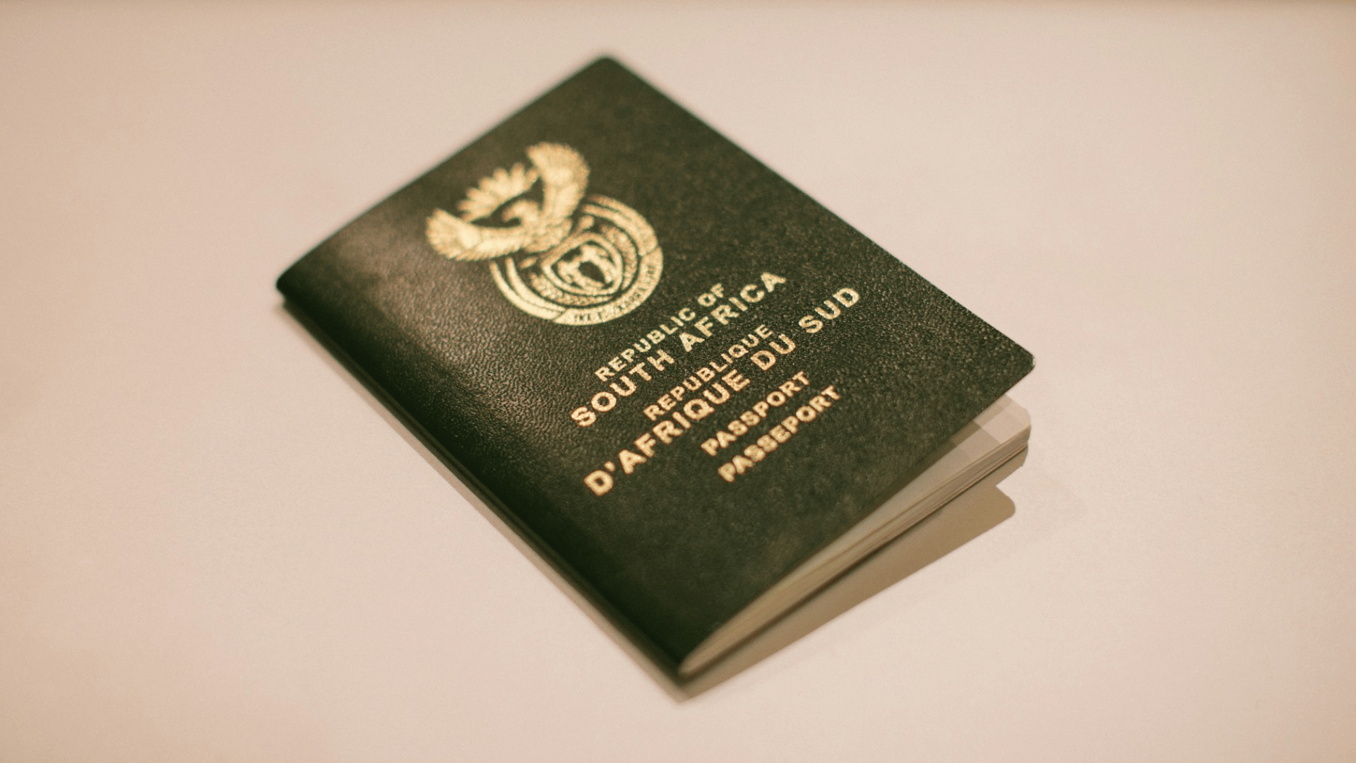 Flying to Europe? What South African Business Travellers Need to Know Before They Reach the Border