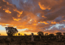 ‘Unseen Africa’ Revealed to Global Tourism Buyers as New Virtual Trade Show Kicks Off