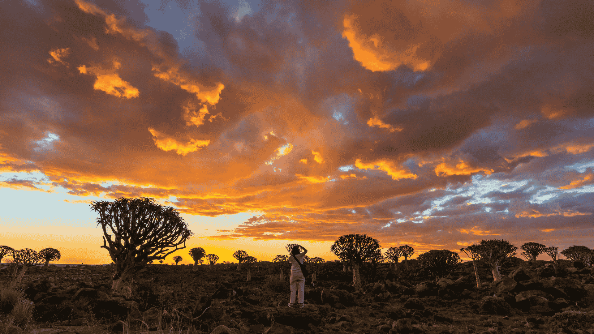 ‘Unseen Africa’ Revealed to Global Tourism Buyers as New Virtual Trade Show Kicks Off