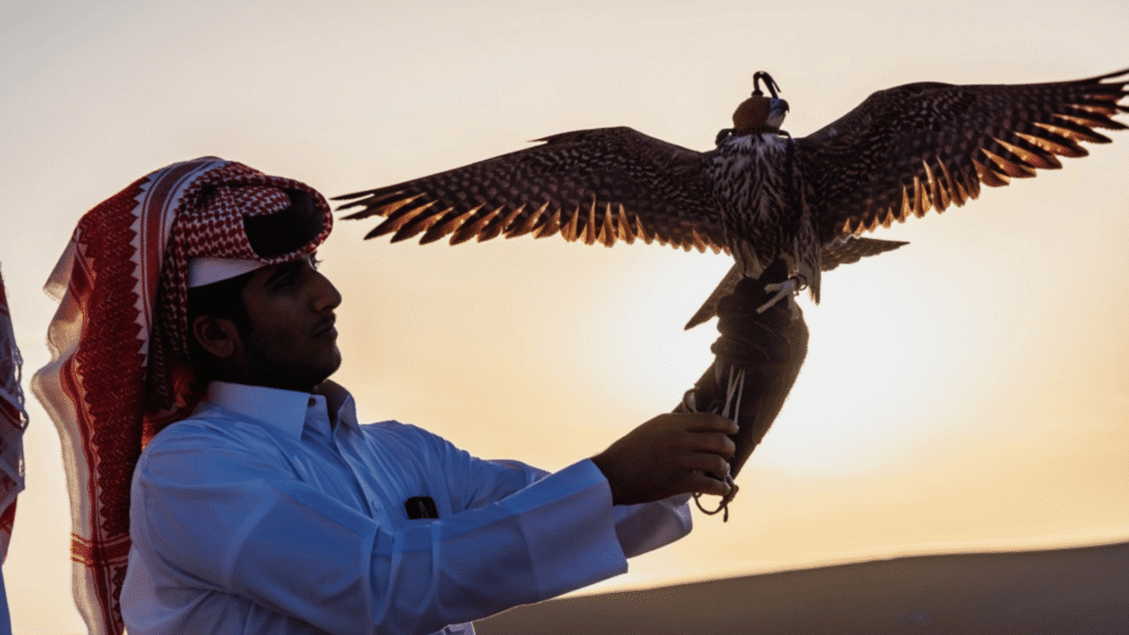 AUTUMN SUN IN QATAR EXPLORE THE GREAT OUTDOORS