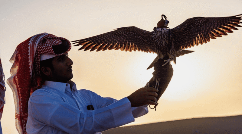 AUTUMN SUN IN QATAR EXPLORE THE GREAT OUTDOORS