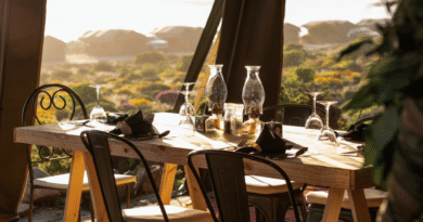 Chiefs Tented Camps Builds the Largest-Ever Camp in a Big Five Reserve