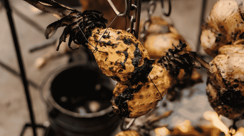 Visit Stellenbosch partners with South Africa BBQ Festival for a new kind of first